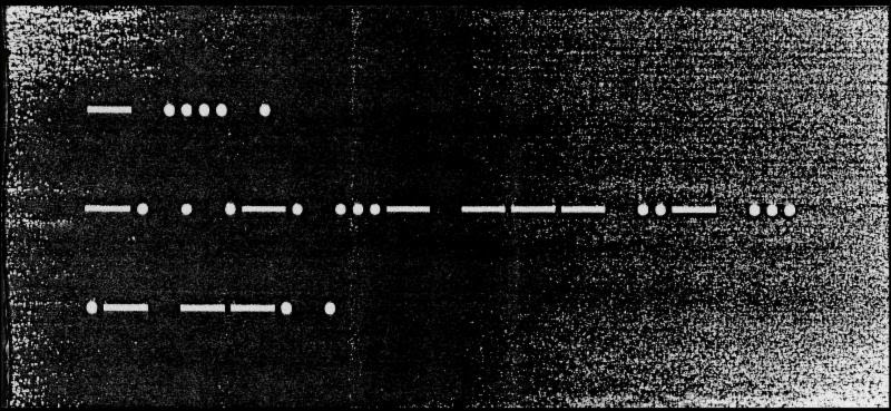 CarlTrahanTheNervousAgeInvite